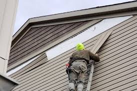 Best Siding Painting and Refinishing  in Langley Park, MD